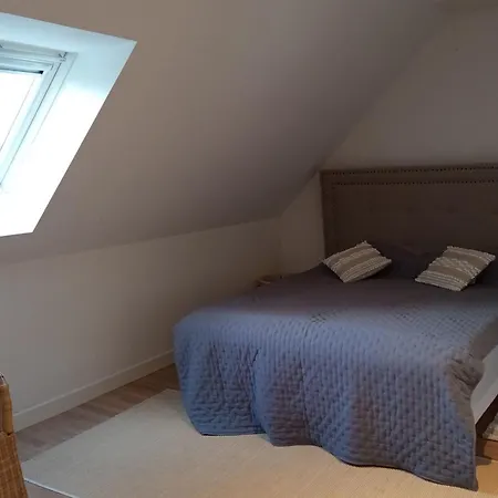בית נופש Touquettoise With Wifi And Private Garden Le Touquet